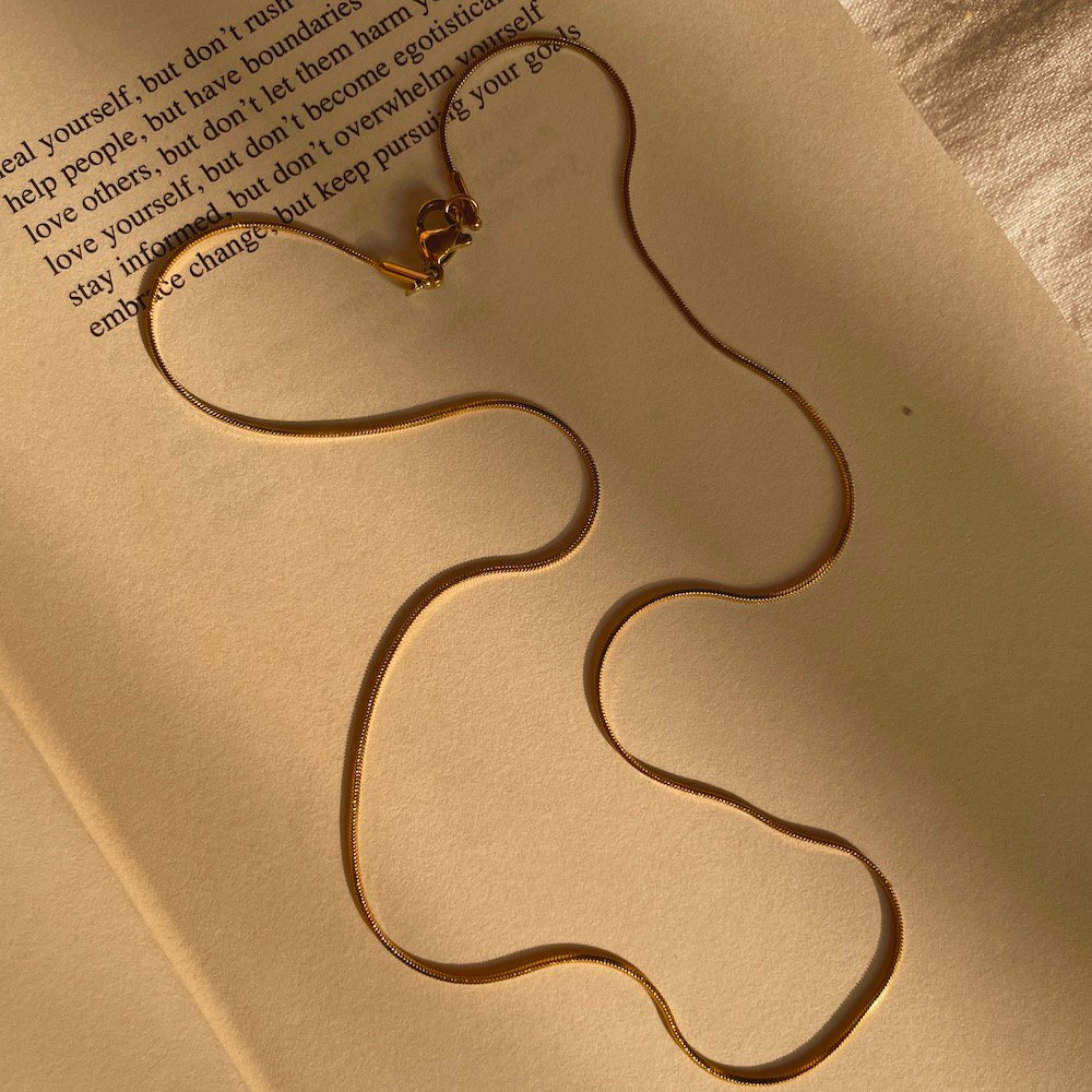 IMG_3683 Delicate Chain - Image 1