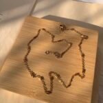 Rina Chain