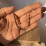 Snake Chain (Rosegold) - Image 2