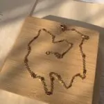 Rina Chain