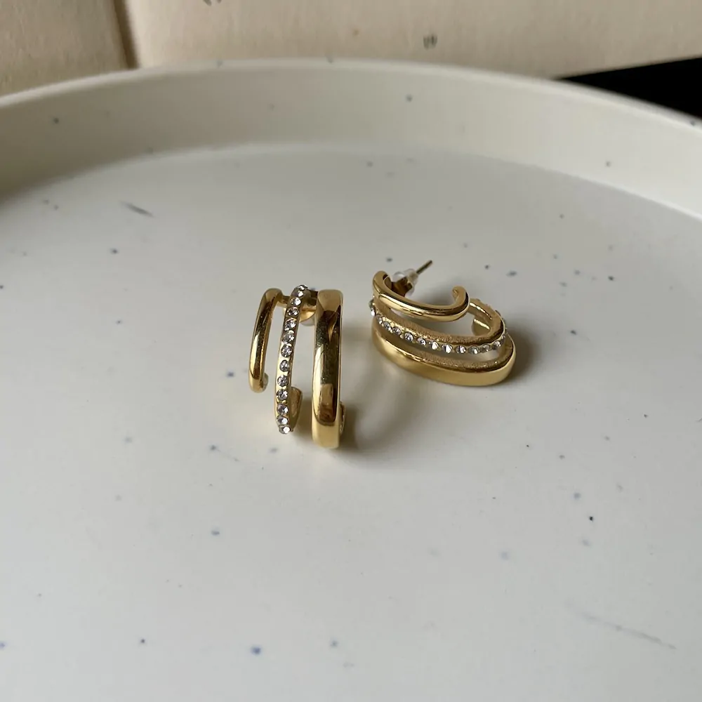 IMG_7833 Lux Earrings - Image 1